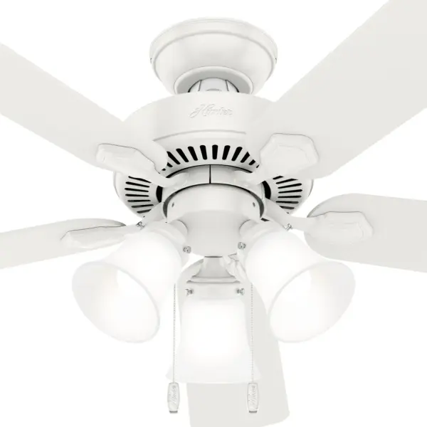 The Ceiling Fans by Hunter - Image 43