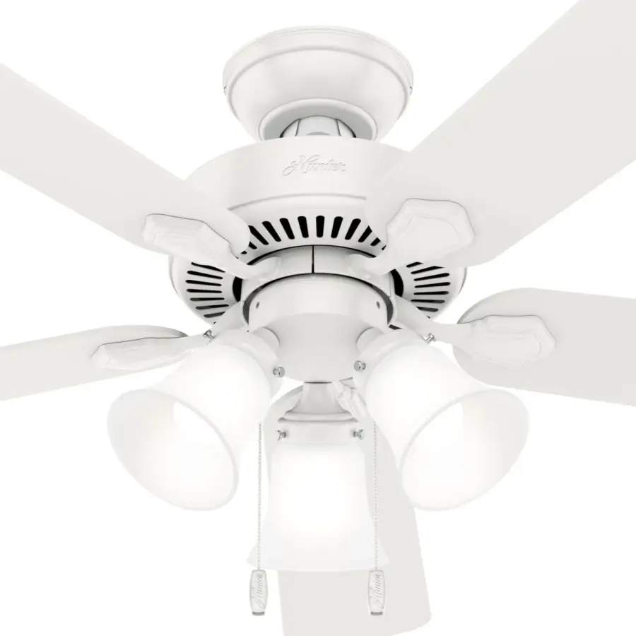 The Ceiling Fans by Hunter - Image 43