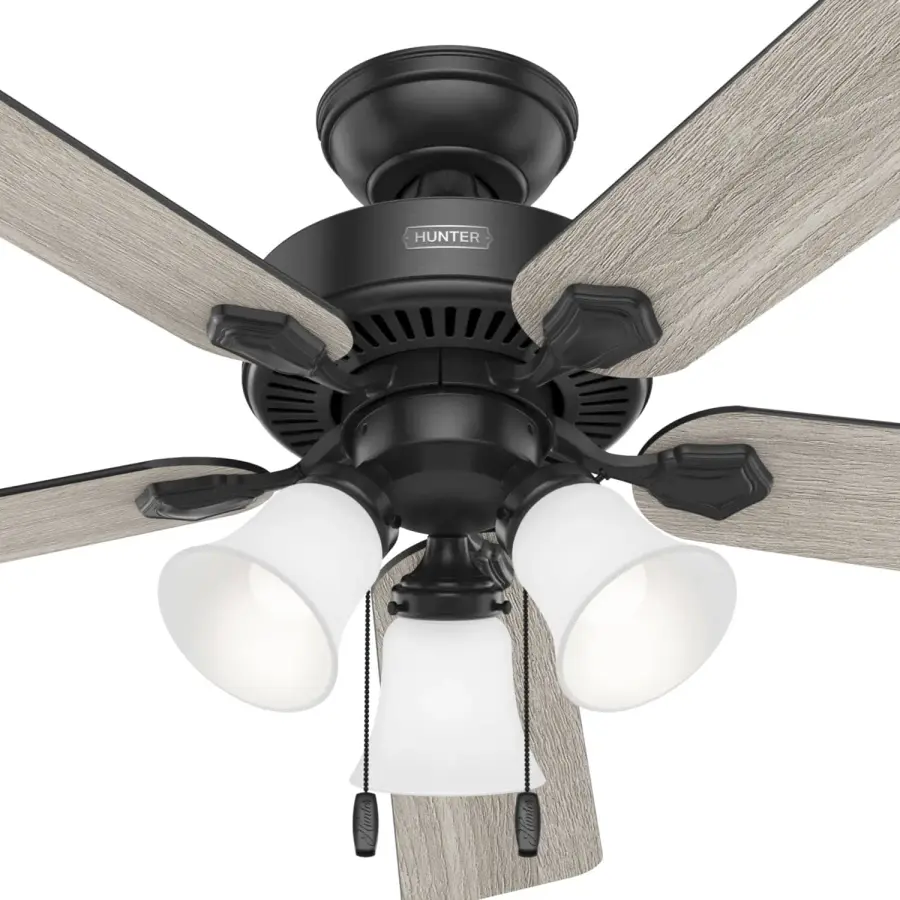 The Ceiling Fans by Hunter - Image 45