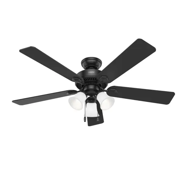 The Ceiling Fans by Hunter - Image 47