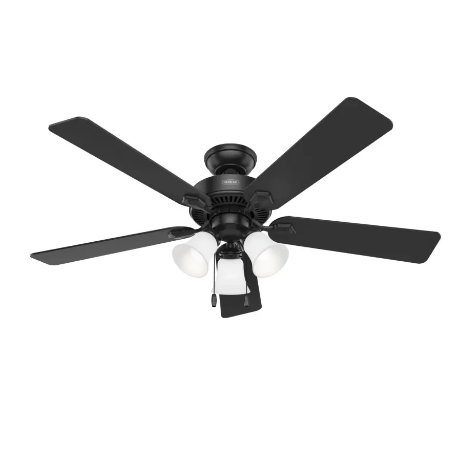 The Ceiling Fans by Hunter - Image 47