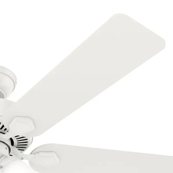 The Ceiling Fans by Hunter - Image 48