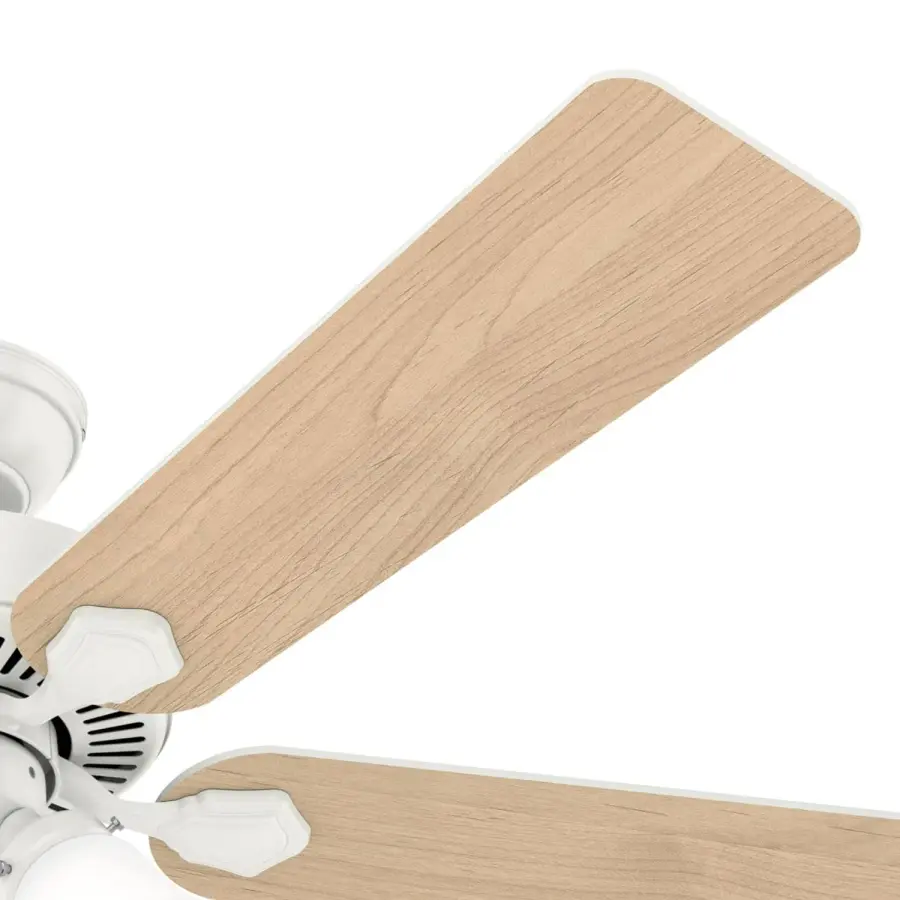 The Ceiling Fans by Hunter - Image 52