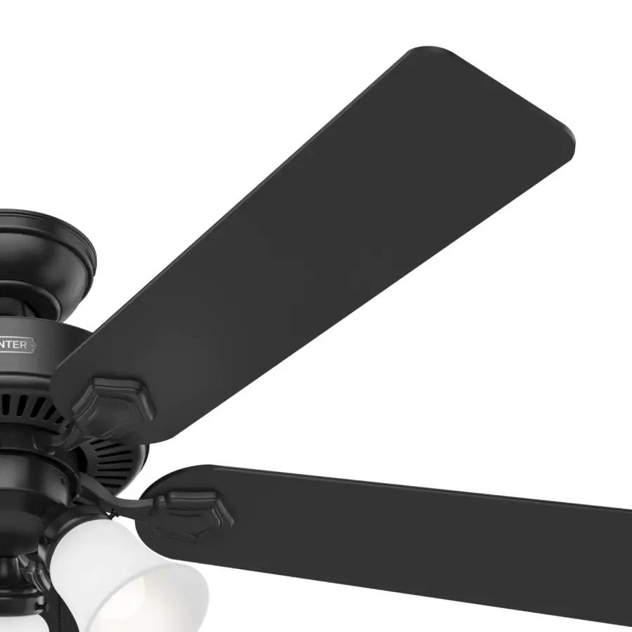 The Ceiling Fans by Hunter - Image 54