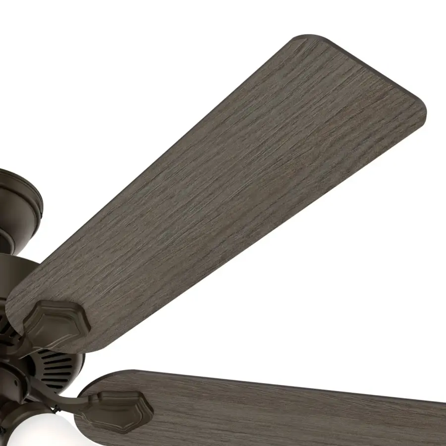 The Ceiling Fans by Hunter - Image 55