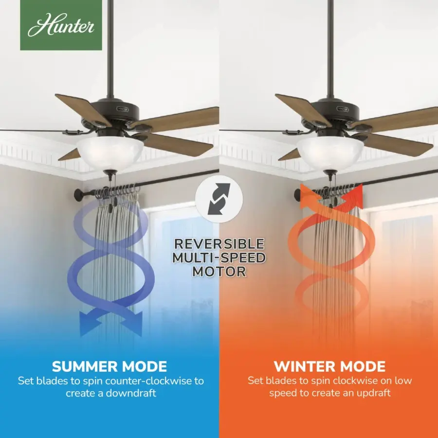 The Ceiling Fans by Hunter - Image 15
