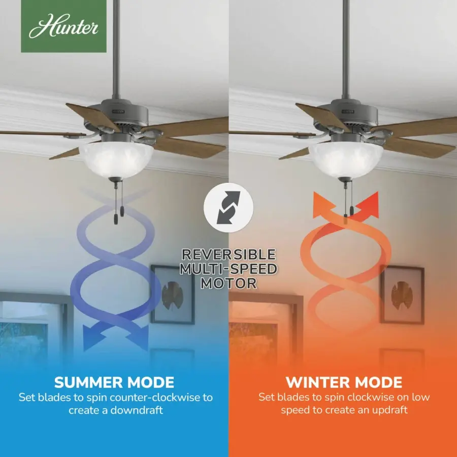 The Ceiling Fans by Hunter - Image 16