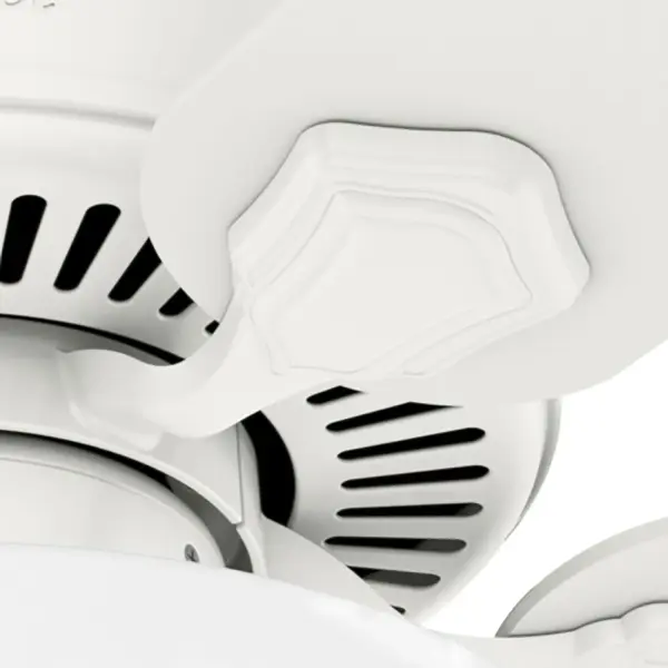 The Ceiling Fans by Hunter - Image 26