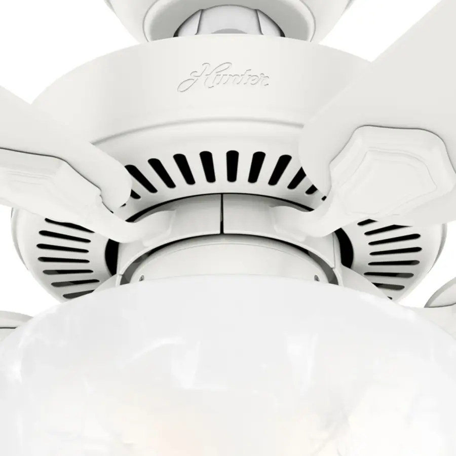 The Ceiling Fans by Hunter - Image 29