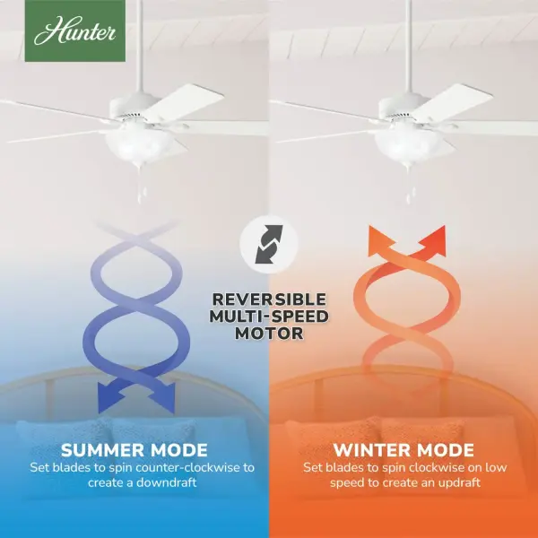 The Ceiling Fans by Hunter - Image 19