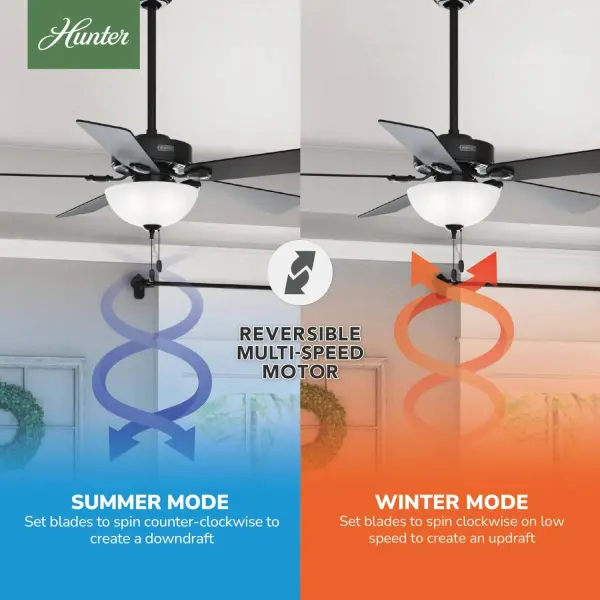 The Ceiling Fans by Hunter - Image 21