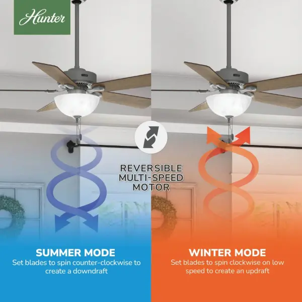 The Ceiling Fans by Hunter - Image 22