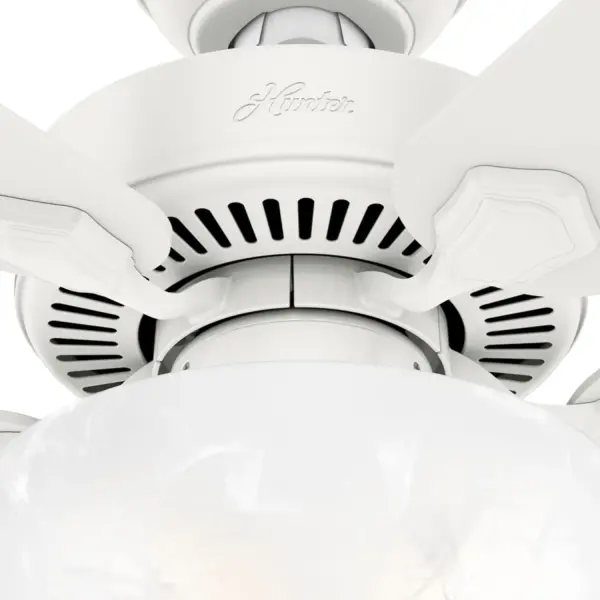The Ceiling Fans by Hunter - Image 39