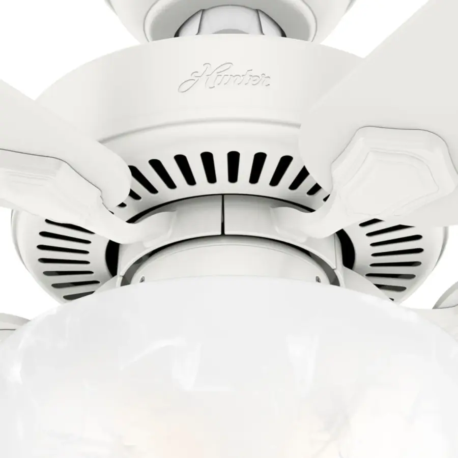 The Ceiling Fans by Hunter - Image 39