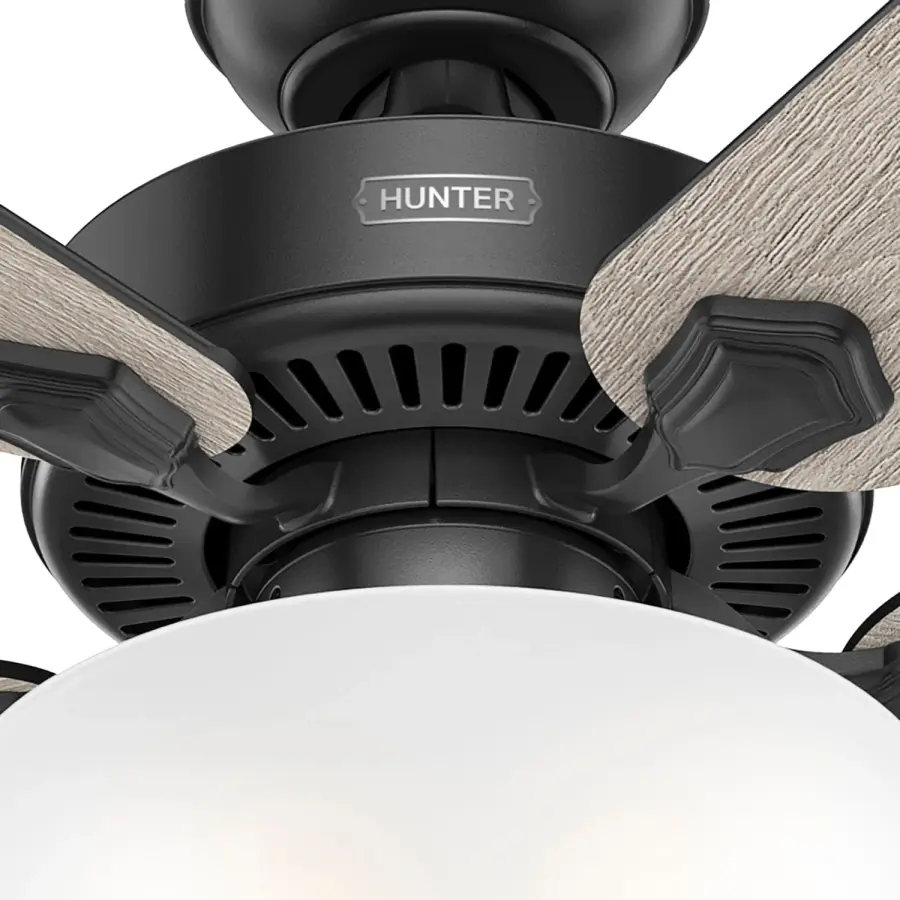 The Ceiling Fans by Hunter - Image 41