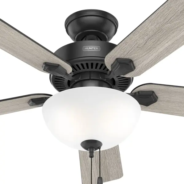The Ceiling Fans by Hunter - Image 45