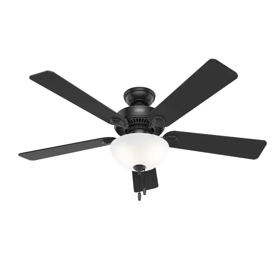The Ceiling Fans by Hunter - Image 47