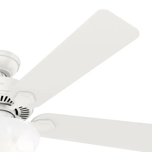 The Ceiling Fans by Hunter - Image 48