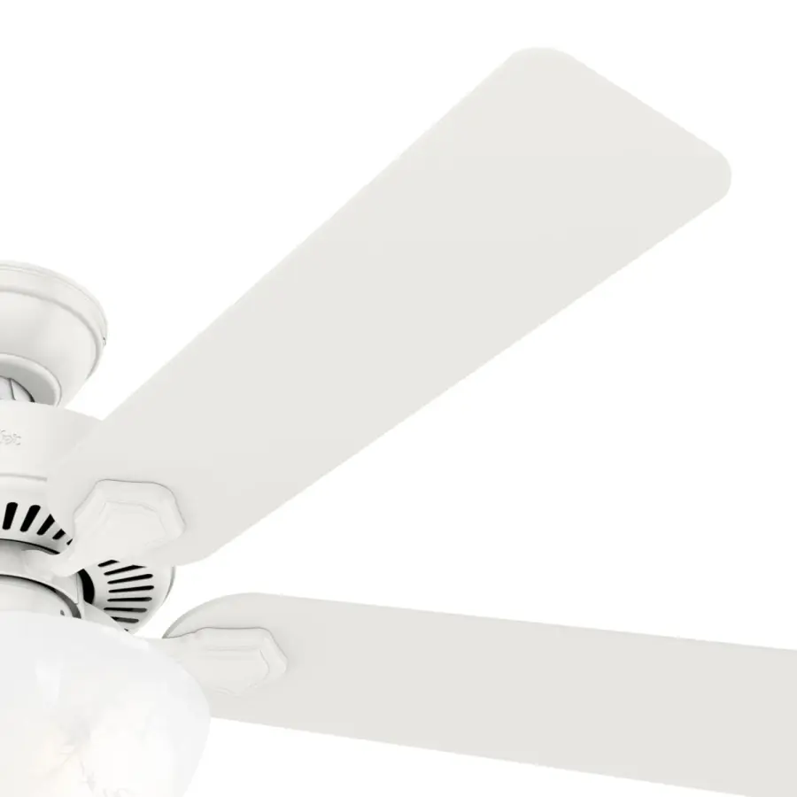 The Ceiling Fans by Hunter - Image 48