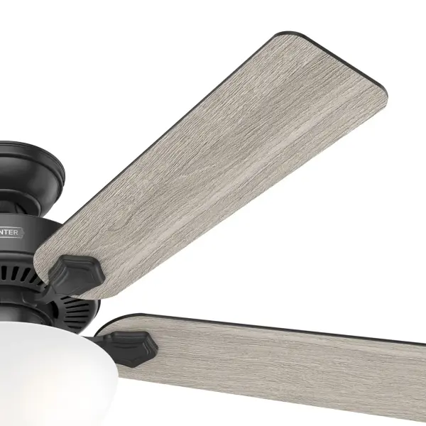 The Ceiling Fans by Hunter - Image 50