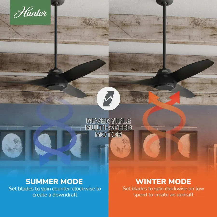 Mosley Outdoor 52 inch - Image 17