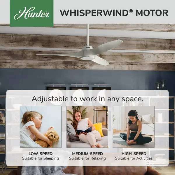 Mosley Outdoor 52 inch - Image 54