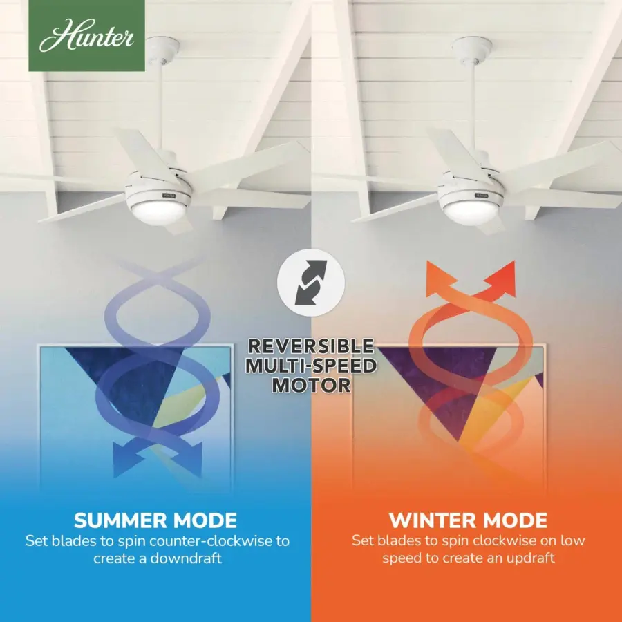 The Ceiling Fans by Hunter - Image 12