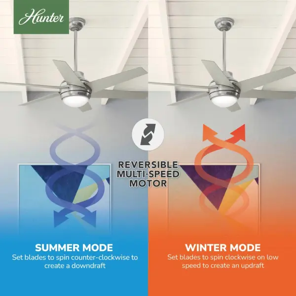 The Ceiling Fans by Hunter - Image 13