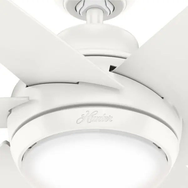 The Ceiling Fans by Hunter - Image 24