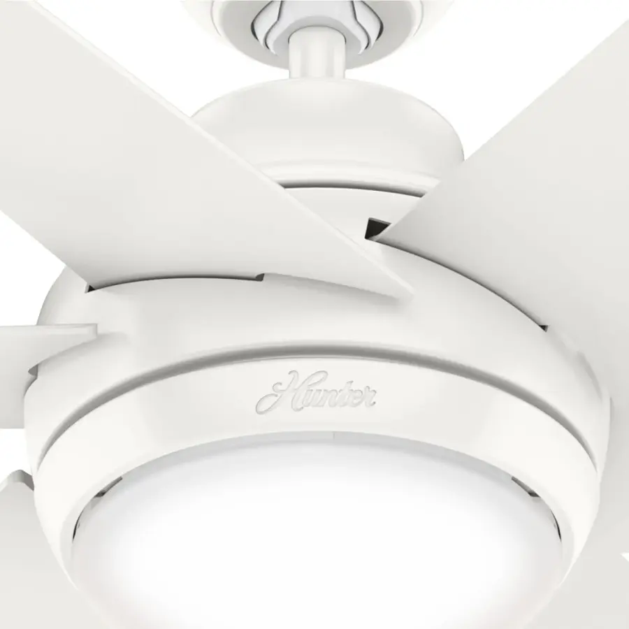 The Ceiling Fans by Hunter - Image 24