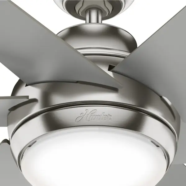 The Ceiling Fans by Hunter - Image 25