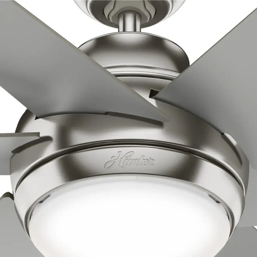 The Ceiling Fans by Hunter - Image 25