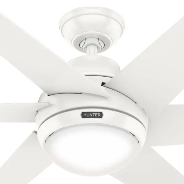 The Ceiling Fans by Hunter - Image 26