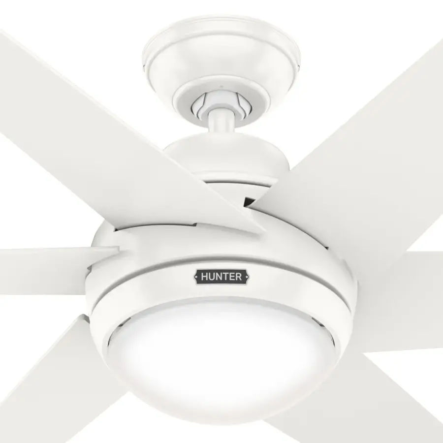 The Ceiling Fans by Hunter - Image 26