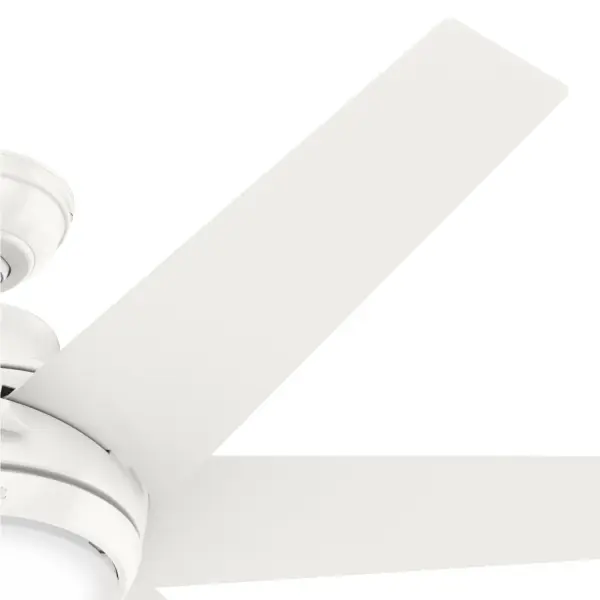 The Ceiling Fans by Hunter - Image 28