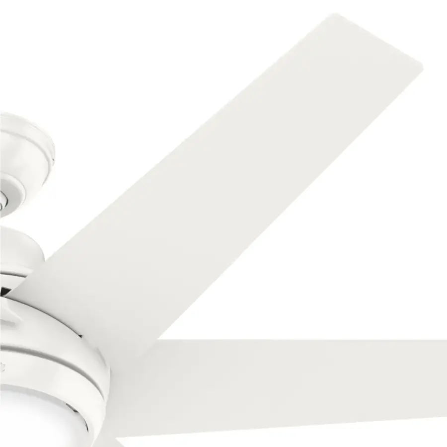 The Ceiling Fans by Hunter - Image 28