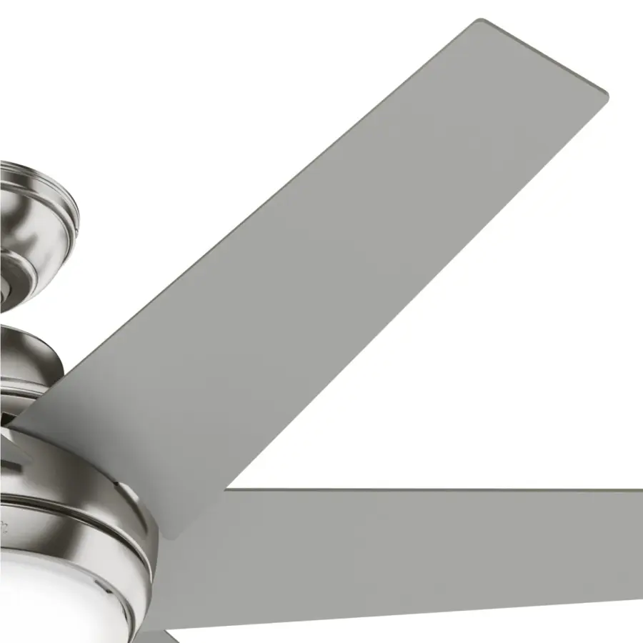 The Ceiling Fans by Hunter - Image 29
