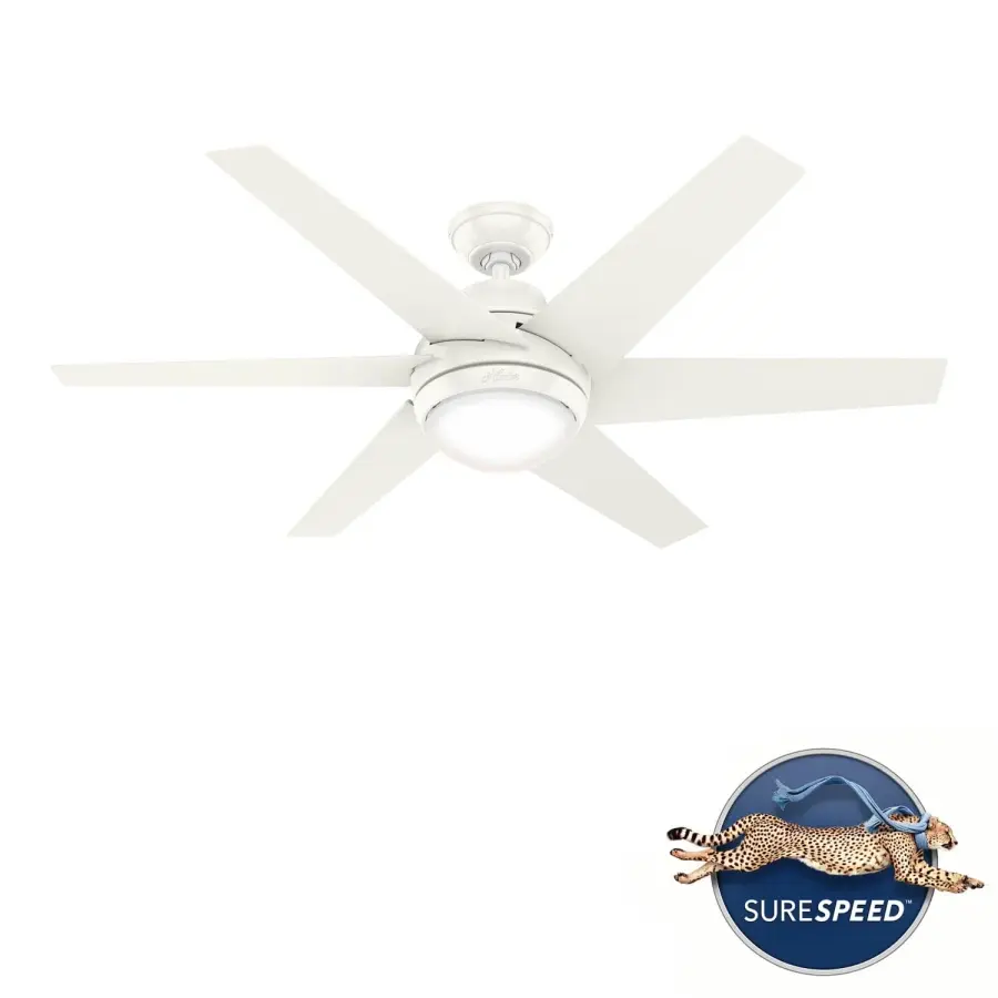 The Ceiling Fans by Hunter - Image 30