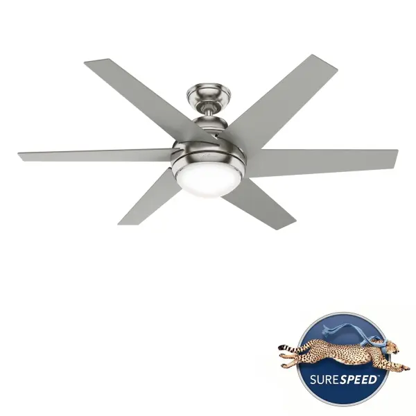 The Ceiling Fans by Hunter - Image 31