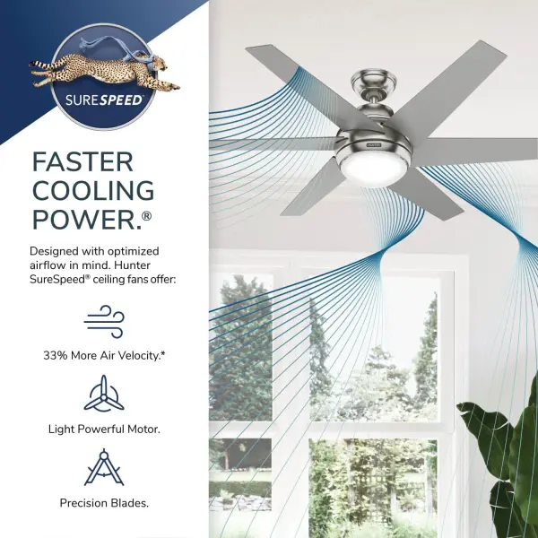 The Ceiling Fans by Hunter - Image 32