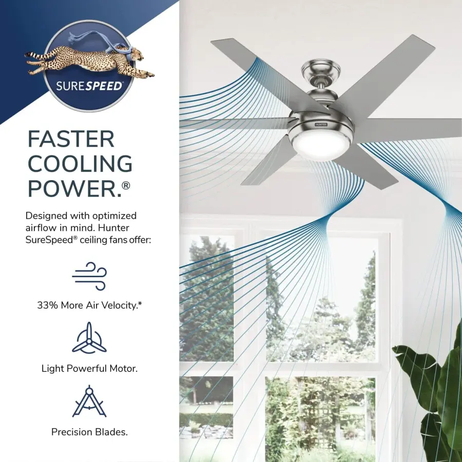 The Ceiling Fans by Hunter - Image 33