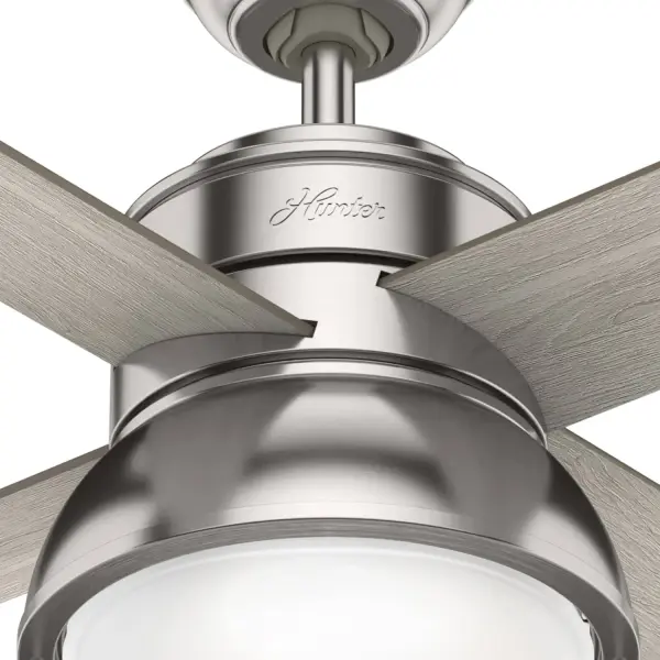 The Ceiling Fans by Hunter - Image 12