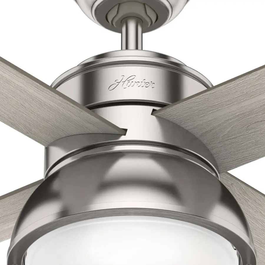 The Ceiling Fans by Hunter - Image 12