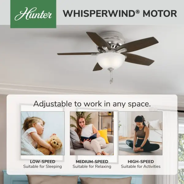 Newsome Low Profile with Light 42 inch - Image 67