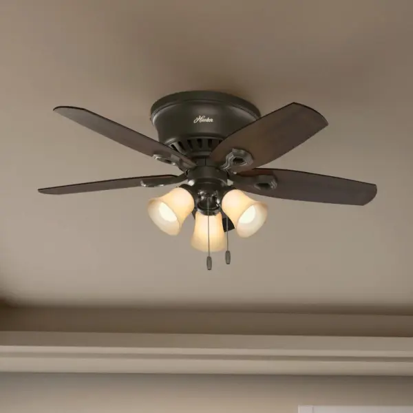 The Ceiling Fans by Hunter - Image 14