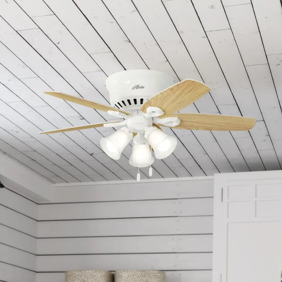 The Ceiling Fans by Hunter - Image 15