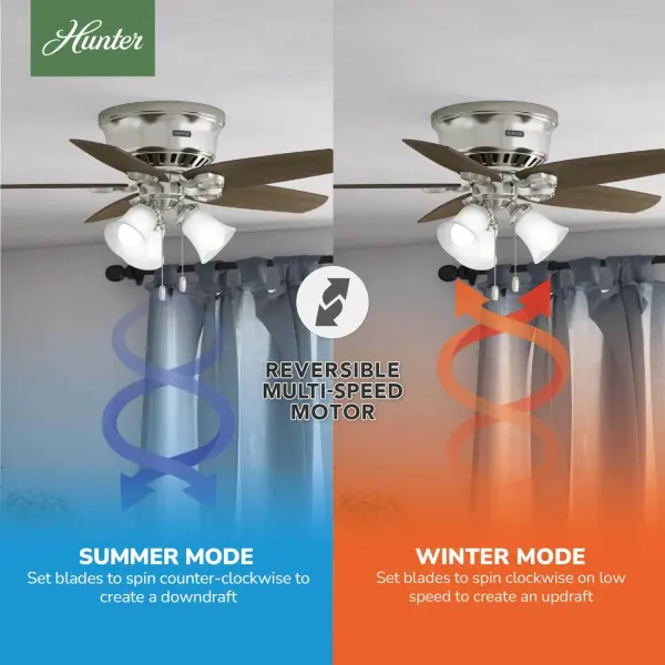 The Ceiling Fans by Hunter - Image 17