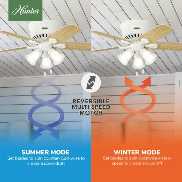The Ceiling Fans by Hunter - Image 19