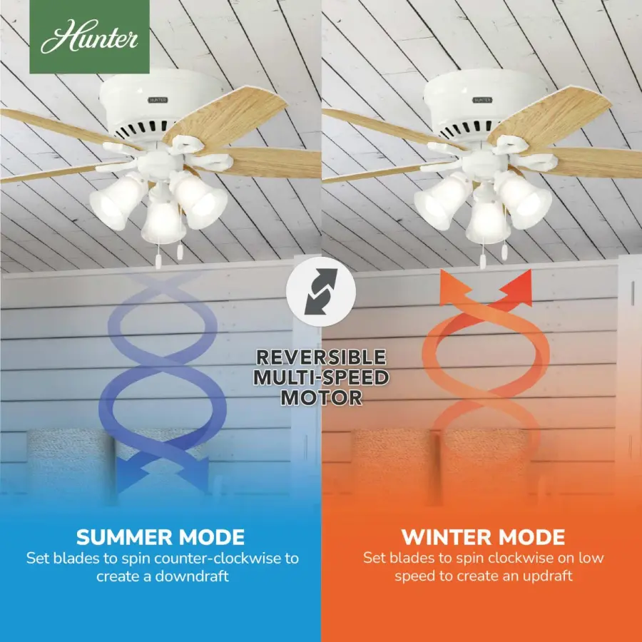 The Ceiling Fans by Hunter - Image 19