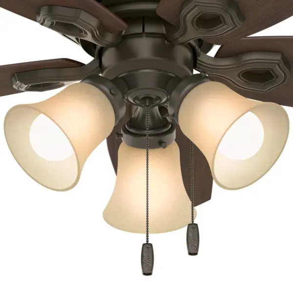 The Ceiling Fans by Hunter - Image 27